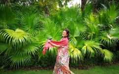 无限资源日本动漫版在线